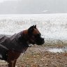 Jon2Snow